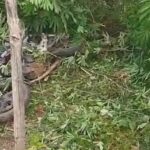 WhatsApp Image 2026 01 02 at 15.58.18 (1)